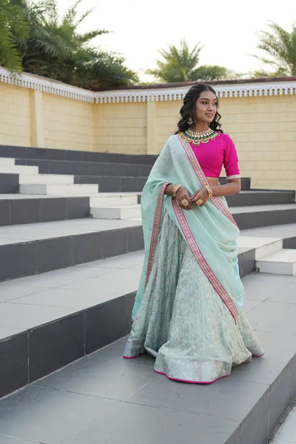 Rani Pink & Sky Ethnic Lehenga