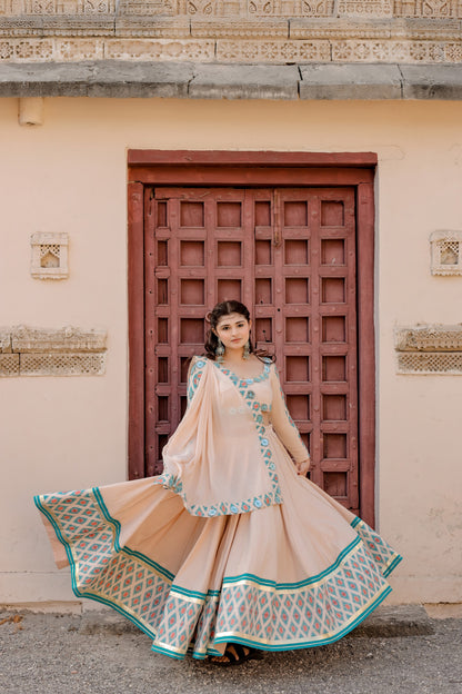 Blush Beige Ikat Grace Navratri Chaniya Choli Set