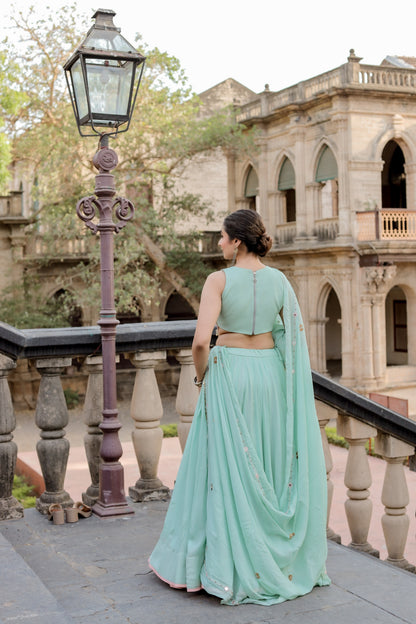 Soft Mint Green Navratri Chaniya Choli Set