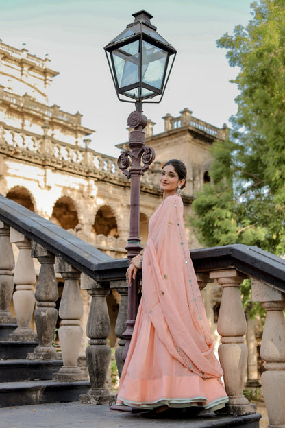 Blush Peach Navratri Chaniya Choli Set